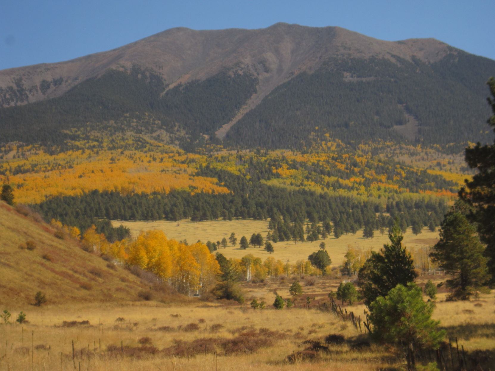 Upper Hart Prairie